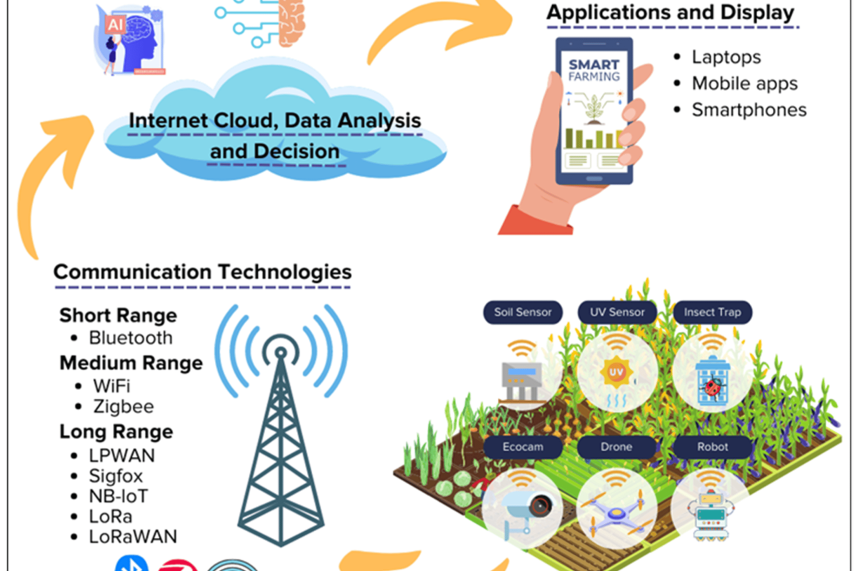 How Banks Can Transform Agriculture in Pakistan Through Advisory, Financing, and Technology