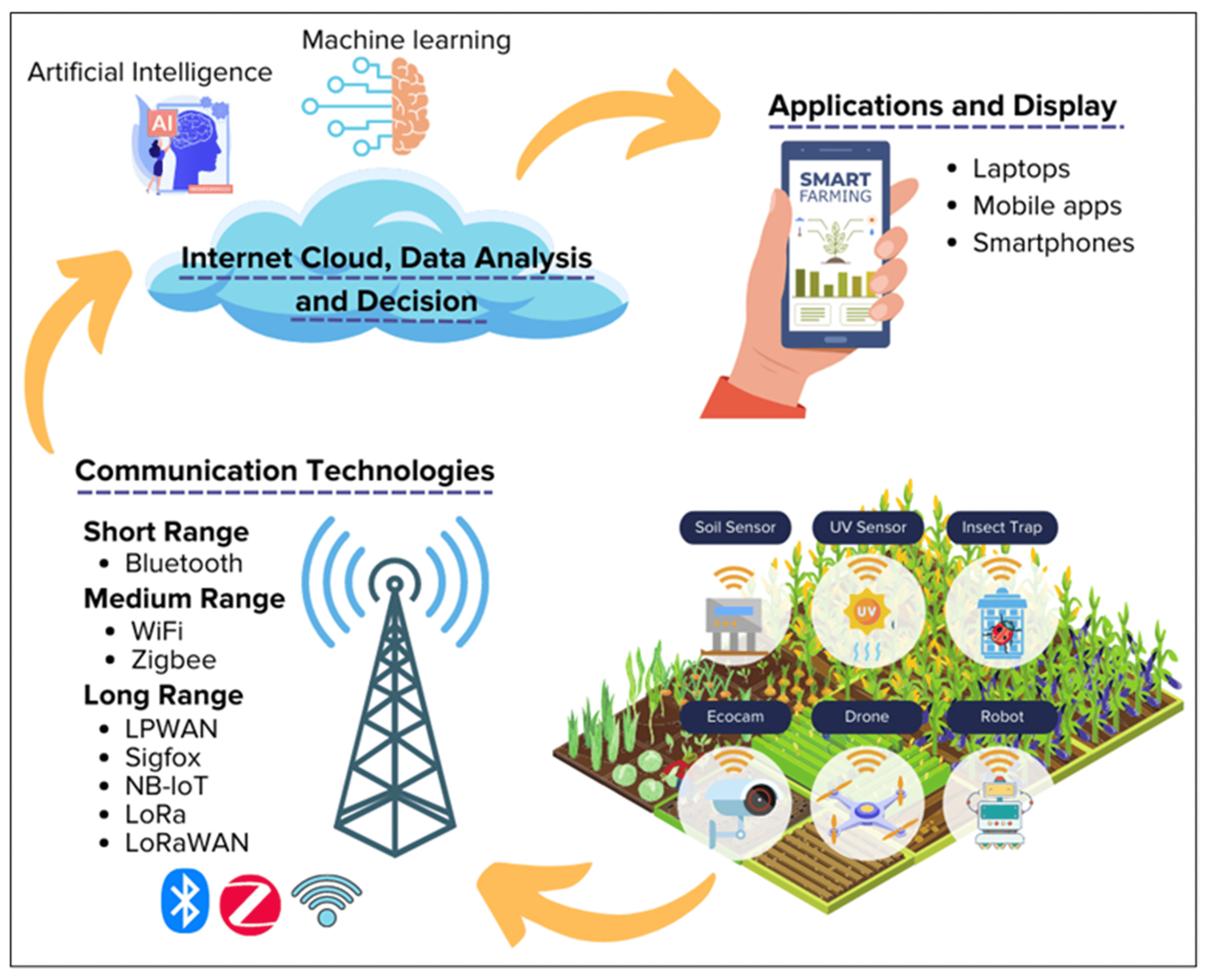 How Banks Can Transform Agriculture in Pakistan Through Advisory, Financing, and Technology